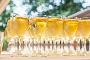 Raw of glasses filled with cold champagne.