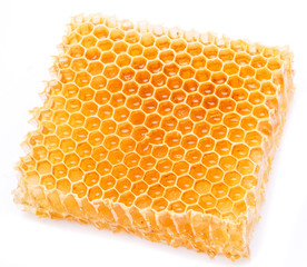 Honeycomb. High-quality picture.
