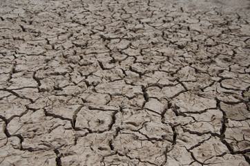 drought