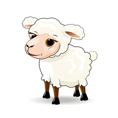Sheep. Cartoon sheep on white background.                                                                                                                                                          