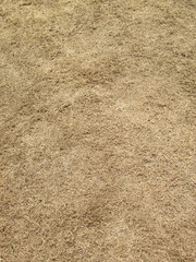 Dry grass land background