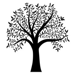 Obraz premium tree with leaves vector