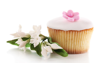Tasty cupcake, isolated on white