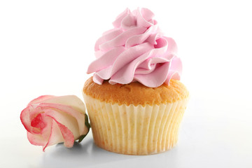Tasty cupcake, isolated on white