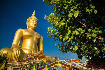 Fototapeta premium The largest golden Buddha with blue sky as a backdrop.