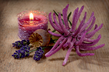 Obraz na płótnie Canvas Spa still life with lavender and anemone