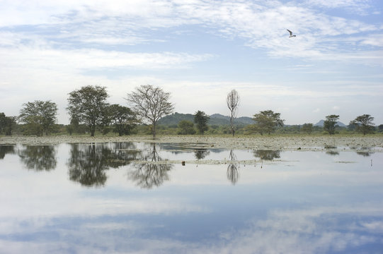 Landscape of Sri Lanka