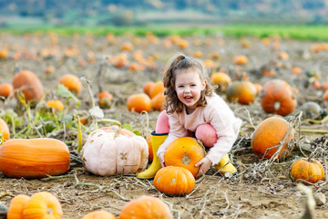 Little kid girl with lot of pumpkins on field
