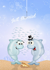 Marriage of dolphins