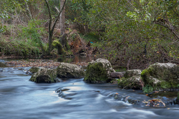 Riachuelo de montaña en Cantabria