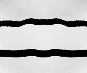 Pieces of torn paper on black. Copy space