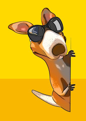 Fun kangaroo © Julien Tromeur