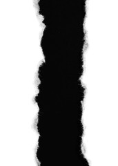 Pieces of torn paper on black. Copy space