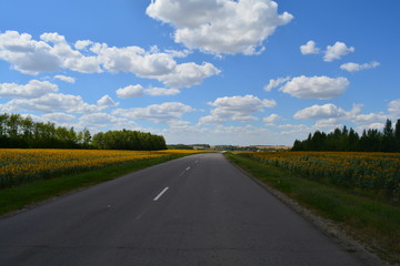Пустая дорога в село