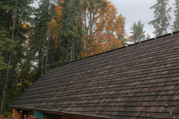 Fototapeta na wymiar House roof closeup