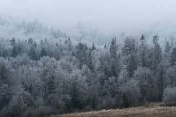 Fototapeta na wymiar First snow in the mountains. Winter landscape.