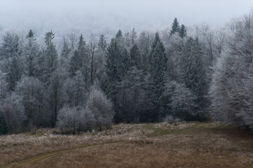 Fototapeta na wymiar First snow in the mountains. Winter landscape.