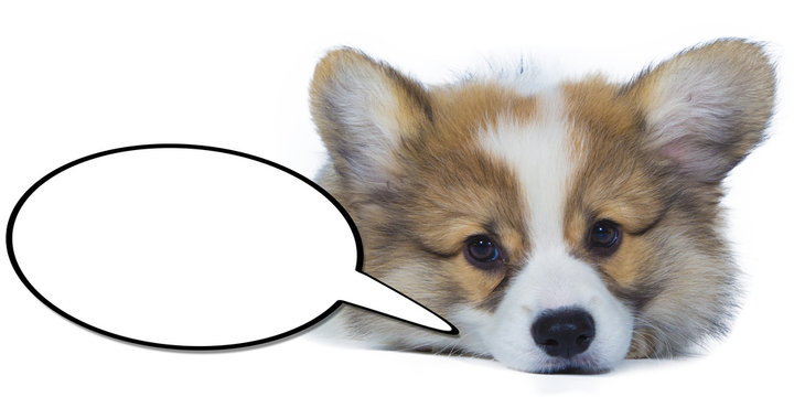 B&eacute;b&eacute; triste