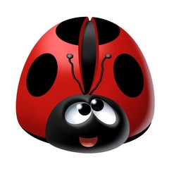 Obraz premium coccinella