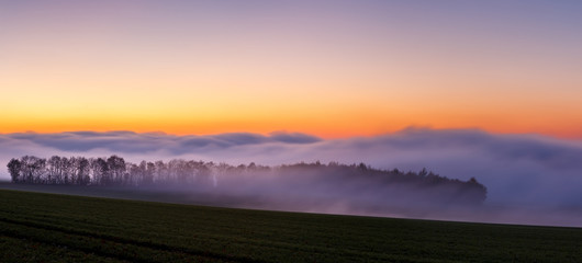 Obraz premium Foggy Sunset in Wintertime