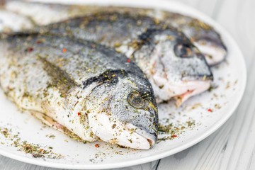 Fish on white plate background
