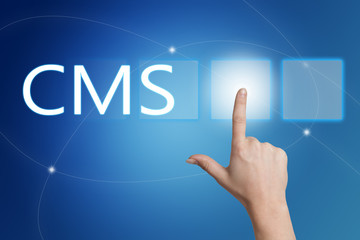 Content Management System