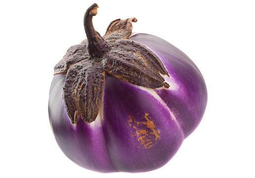 Round Eggplant