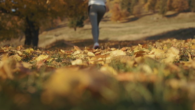 Women fitness runner feet running on the road. Autumn scenery.