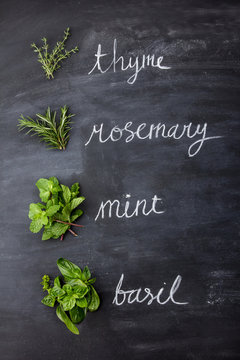 fresh herbs, thyme, rosemary, mint, and basil
