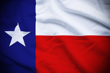 Obraz premium Texas Flag