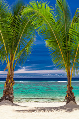 Fototapeta na wymiar Two palm trees over stunning blue lagoon, Cook Islands