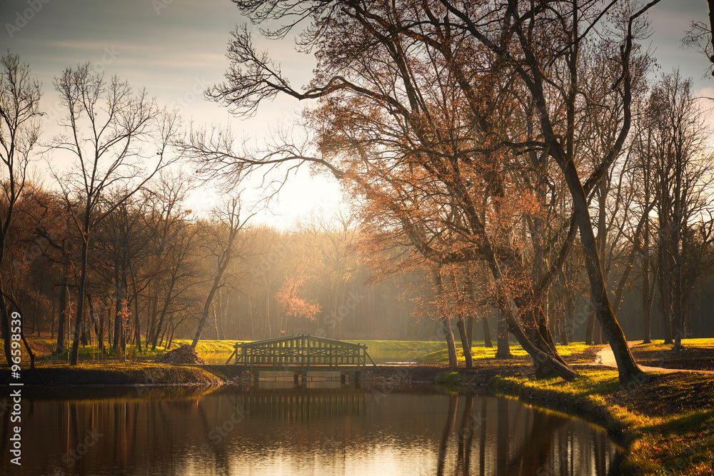 Poster bridge on lake autumn park