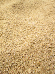 Sand background. Closeup sand. Beach sand in the summer