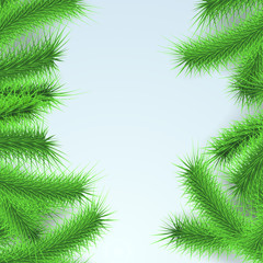 Fototapeta na wymiar Green fresh Firtree branches layout