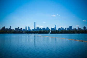 Fototapeta na wymiar Central park of New York