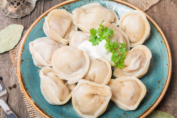 Homemade Meat Dumplings - russian pelmeni