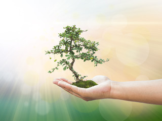 Fototapeta na wymiar Human hand holding medium green plant with soil on blurred abstr
