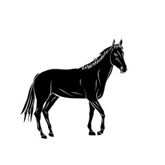 Fototapeta na wymiar Vector silhouette. Cartoon horse.