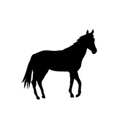 Vector silhouette. Cartoon horse.