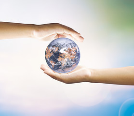 Human hand holding medium green plant with soil on blurred abstr