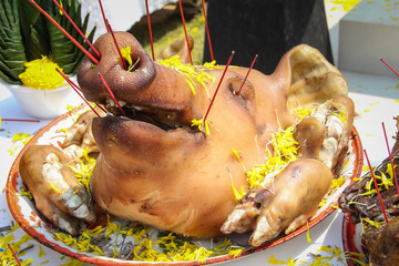 pig's head are sacrificial offering in worship