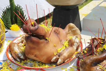 pig's head are sacrificial offering in worship