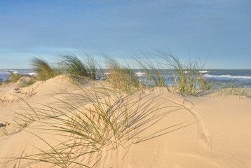 dunes 