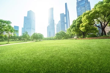 Foto op Plexiglas park in lujiazui financial centre, Shanghai, China © Iakov Kalinin