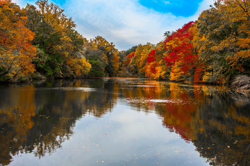 Colorful Fall Foliage and Reflections