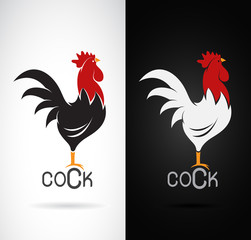 Vector image of an cock design on white background and black bac - obrazy, fototapety, plakaty