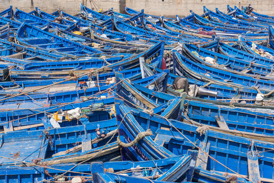 Blue fishing boats in Essaouira port, Morocco