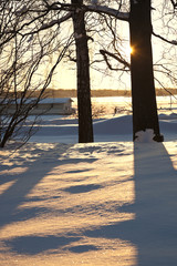 Park in Helsinki