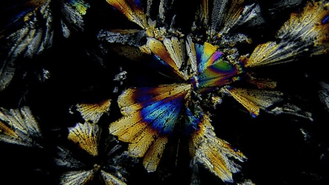 Microscopic shot: Sugar crystals in polarized light with color changes at different wavelengths.