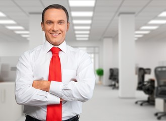 Fototapeta premium Businessman.